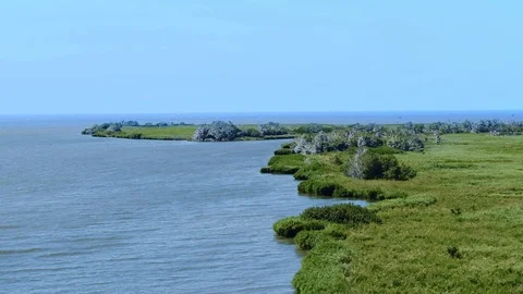 Islands in the middle of the river, Don River Delta, cormorants in flight Stock Footage 121896281