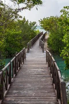 Islands of the Stream Stock Photos