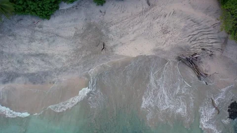 Islas Secas Beach Top Down Stock Footage 308440782
