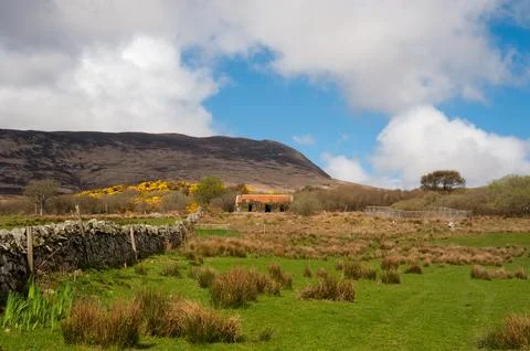 Islay field Stock Photos