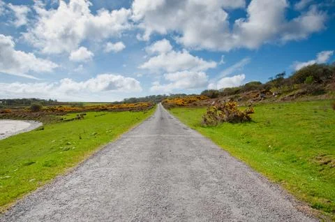 Islay road Stockfoto's