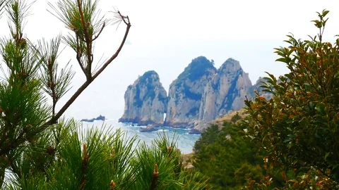 That Isle: 스톡 동영상 80150033