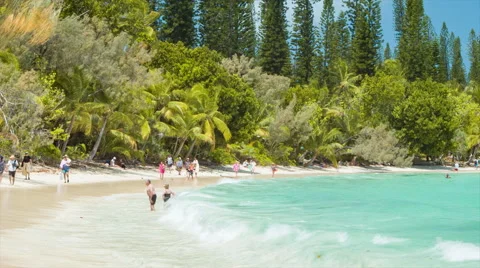 Isle of Pine Waves Breaking on Tropical Beach Video stock 61086261