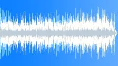 Isle Vert (Celtic band with pennywhistle) Stock Music