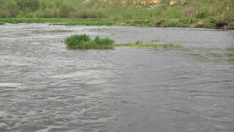 Islet of grass in the middle of a stream of water. Quick river. 4K Video stock 124735373