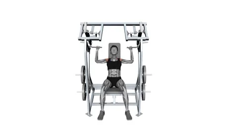 Iso Lateral Shoulder Press Both Arm Female fitness exercise workout animatio Vidéo 258821508