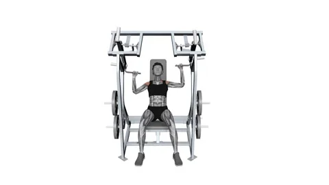 Iso Lateral Shoulder Press Single Arm Female fitness exercise workout animat Video stock 258821511