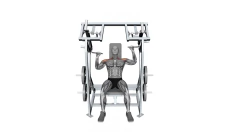 Iso Lateral Shoulder Press Single Arm fitness exercise workout animation vid 库存影片 258821596