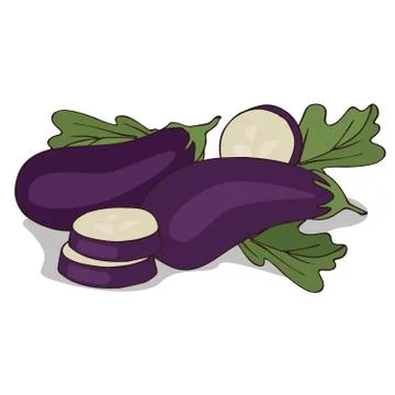 Isolate aubergine or eggplant Illustrazione stock