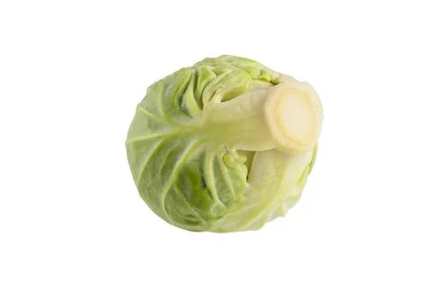 Isolate Brussels sprouts. Fresh, small brussels sprouts on white isolated Stock Photos