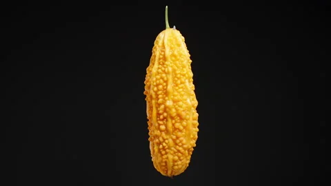 Isolate Close-up of a Bright Orange Bitter Melon with Bumpy Skin, Rotating Stock Footage 284319653