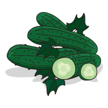 Isolate cucumber vegetable Illustrazione stock