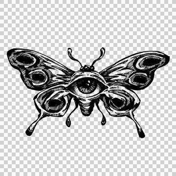 Isolate Hand Drawn Butterfly with Mystical Eye and Dark Details Stock Illustration