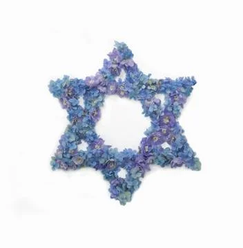 Isolate. magen david of flowers Stock Photos