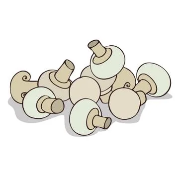 Isolate mushrooms champignon Stock Illustration