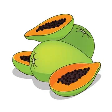 Isolate papaya fruit Illustrazione stock