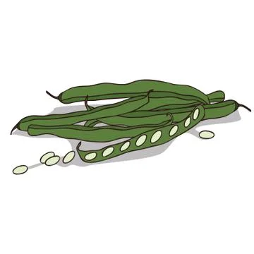 Isolate pod of pea or beans Illustrazione stock
