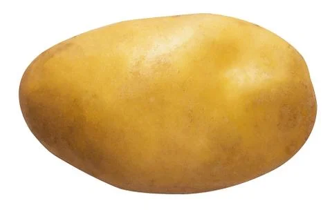 Isolate Potato on White Background Foto stock