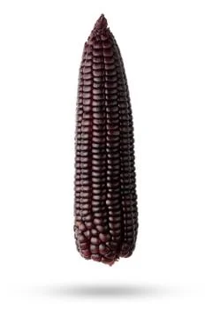 Isolate Purple corn with clipping path on white background. Stock Photos
