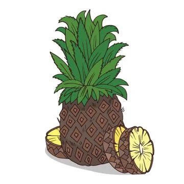 Isolate ripe ananas fruit Stock Illustration