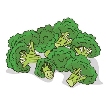 Isolate ripe broccoli stalks Illustrazione stock