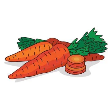 Isolate ripe carrot root vegetable Stock Illustration