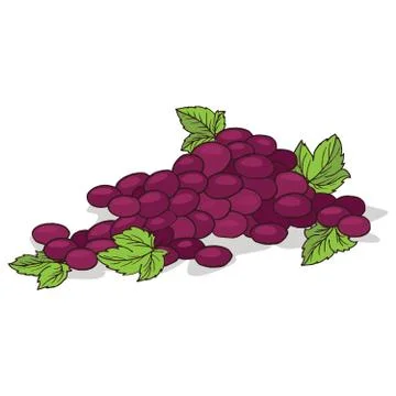 Isolate ripe grape fruit Stock Illustration