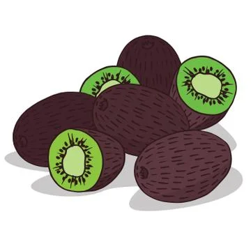 Isolate ripe kiwi fruit Stock Illustration