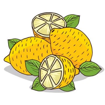 Isolate ripe lemon fruit Stock Illustration