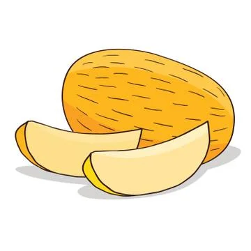 Isolate ripe melon fruit Stock Illustration
