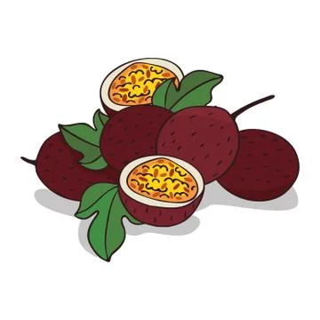 Isolate ripe passion fruit Stock Illustration