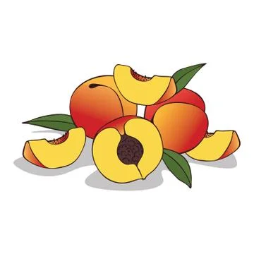 Isolate ripe peach fruit Stock Illustration