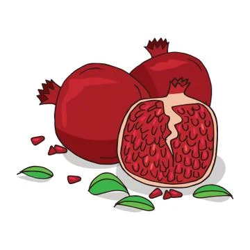 Isolate ripe pomegranate fruit Stock Illustration