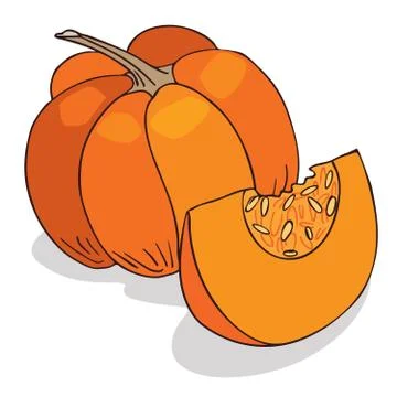 Isolate ripe squash or pumpkin Stock Illustration