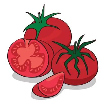 Isolate ripe tomato vegetable Stock Illustration