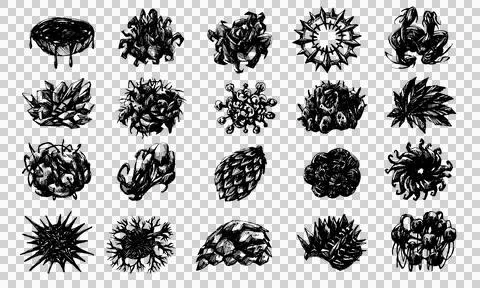 Isolate Surreal Biological Structure Hand Drawn Illustration Stock Illustration
