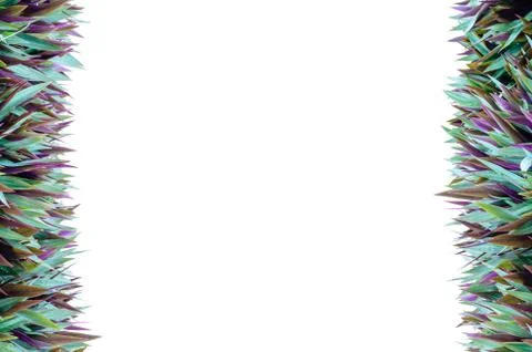 Isolate vertical grass frame Stock Illustration