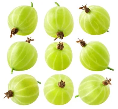Isolatec collection of berries. Set of green gooseberries isolated on white Stock Photos