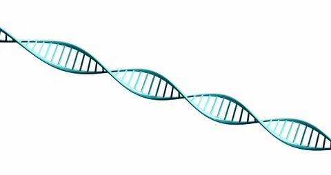 Isolated 3d render model of twisted dna chain. Stock Illustration