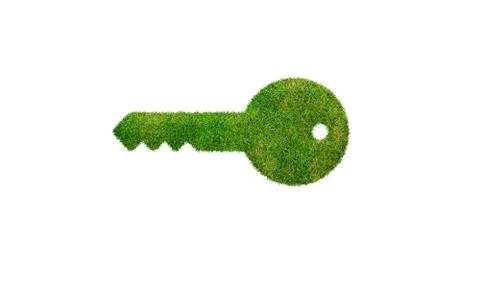 Isolated 3d render natural key symbol with white background Stock Illustration