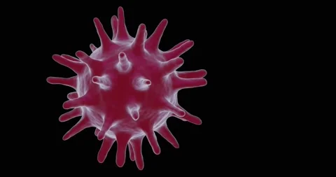 Isolated 3d render of virus Stock Footage 155637732