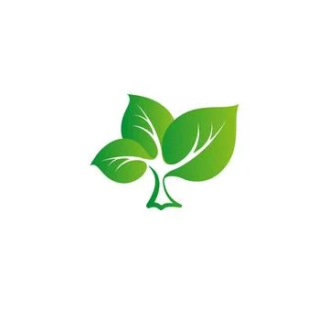 Isolated abstract green color tree vector logo. Leaves on a strong trunk of a Stock Illustration