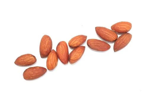 Isolated of almond nut Фото