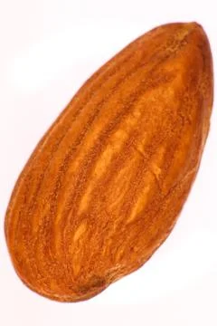 Isolated Almond Nut Texture Surface. Macro Closeup. Natural Organic Backgroun Stock Photos