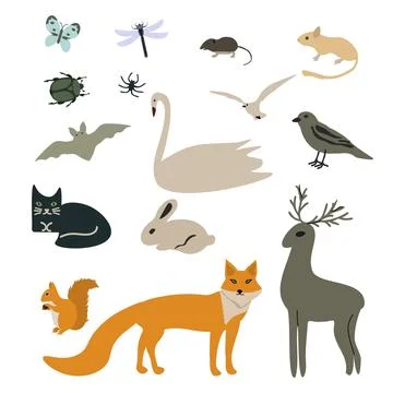 Isolated animals set Stock Illustration