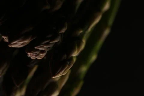 Isolated asparagus. Close up Stock Photos