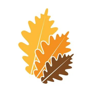 Isolated autumn leaf icon Stock Illustration