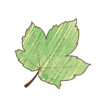 Isolated autumn leaf texture style Vector 스톡 일러스트