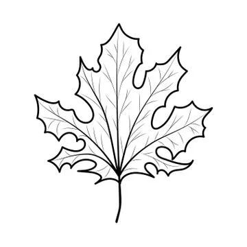 Isolated autumn leaf vector design 스톡 일러스트