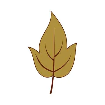 Isolated autumn leaf vector design 스톡 일러스트